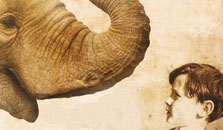 Christopher Nicholson - Tom Page & his Elephant
