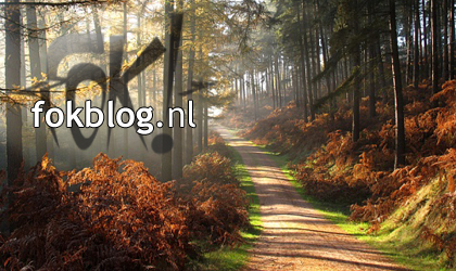 FOK!Weblog