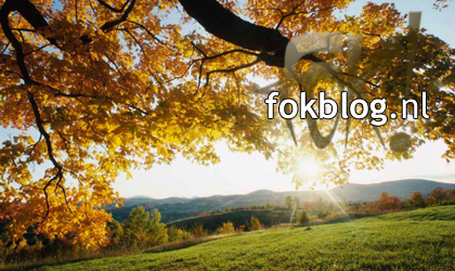 FOK!Weblog