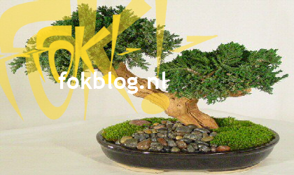 FOK!Weblog2