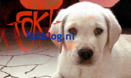 FOK!Weblog2