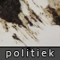 101128_60385_Politiek_Newsicon38.png