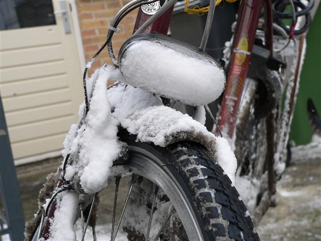 101130_66470_P1070015%20(Custom).JPG