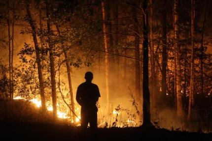 Veertig doden door bosbrand Israël