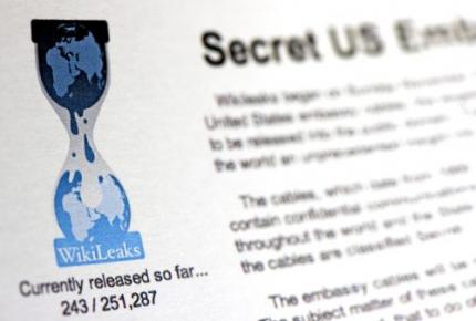 WikiLeaks actief op .nl-adres