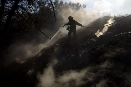 Bosbrand Israël geblust