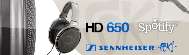 101208_195885_sennheiser_hd650_frm.jpg