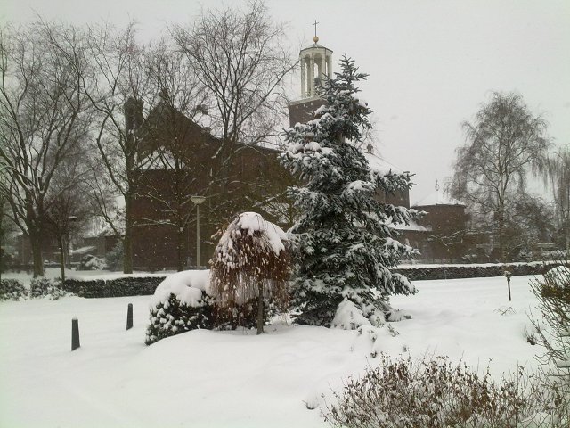 101224_66470_belfeldsneeuw.jpg