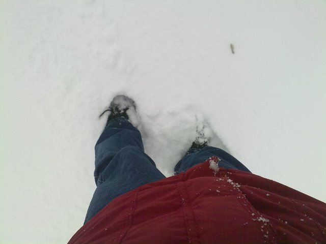 101224_66470_voetjesindesneeuw.jpg
