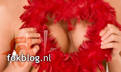 FOK!Weblog2