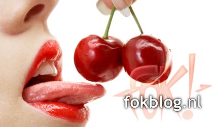 FOK!Weblog2