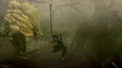 Monster Hunter Tri Screenshot