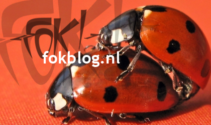 FOK!Weblog2