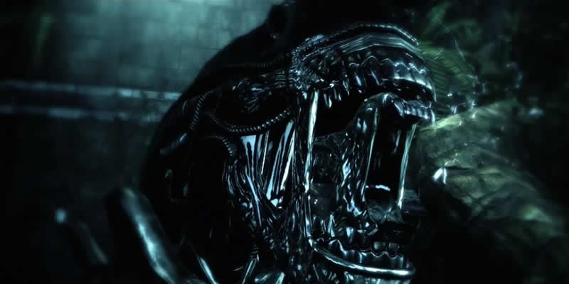 Aliens vs Predator