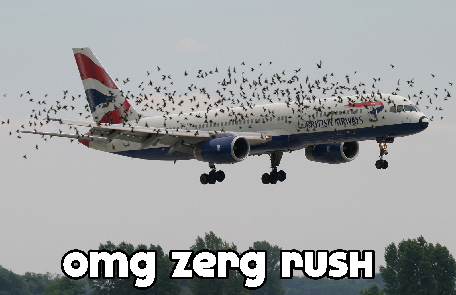 zergrush