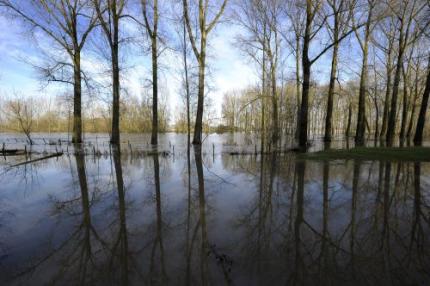 Waterschap vreest derde hoogwatergolf Maas