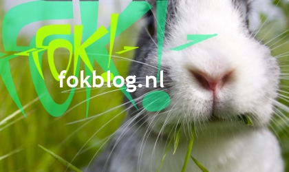 FOK!Weblog2