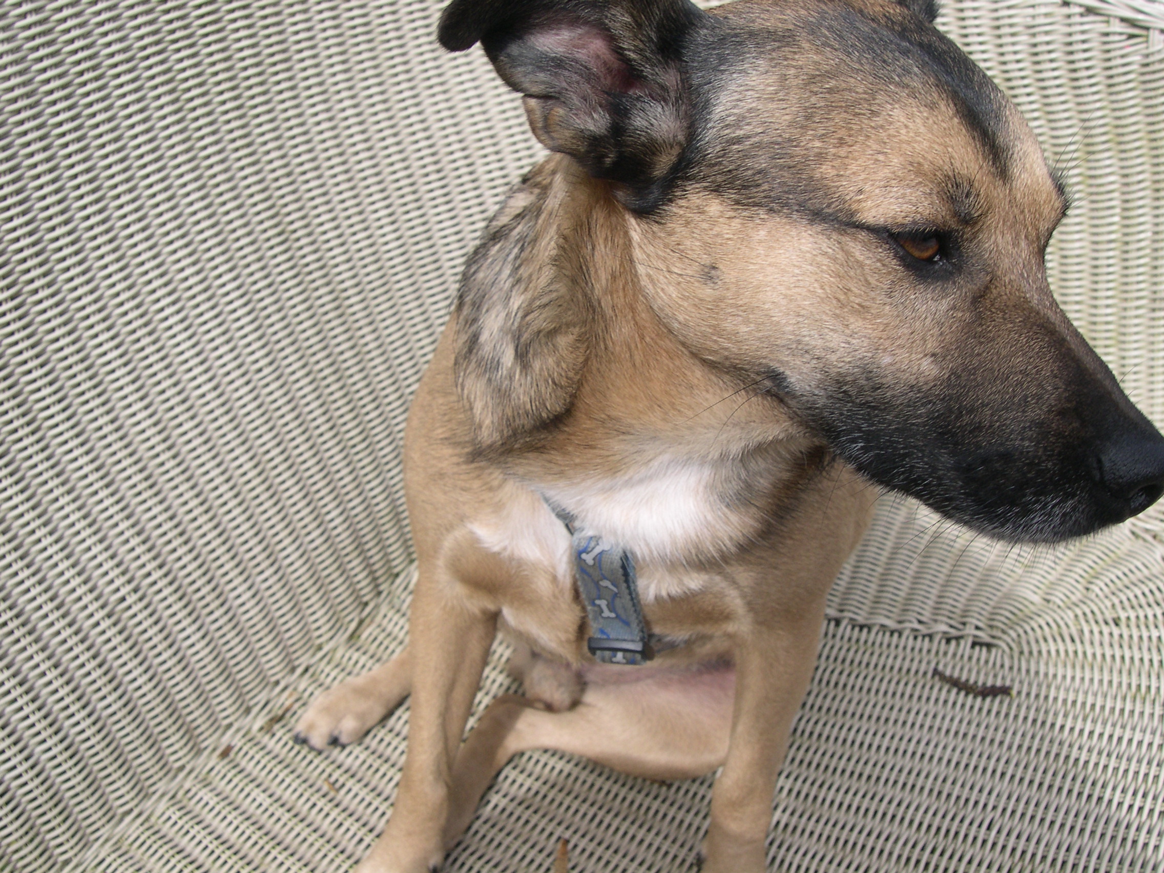 110411_249756_Hugo%202.JPG