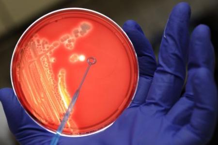 Duitsland vreest nieuwe bacteriedoden