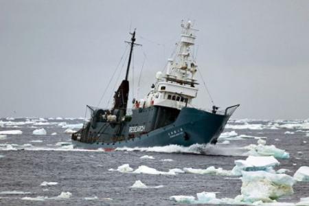 Japan weer op walvisjacht