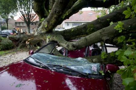 Brabantse gemeenten druk met stormschade
