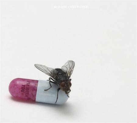 RHCP CD Cover I'm With You