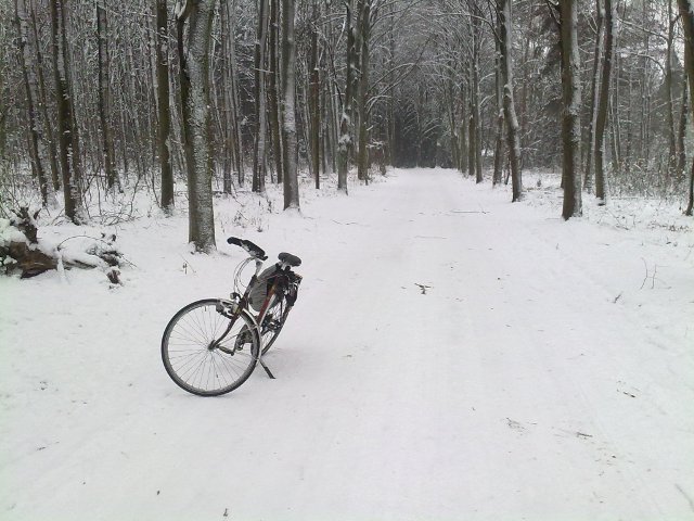 111119_66470_klonksneeuw2.jpg
