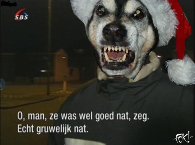 111214_3926_Kankerkachelhond.jpg