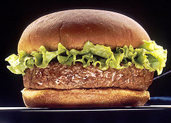 Hamburger (bron: Wikimedia, foto: Len Rizzi , licentie: publiek domein)