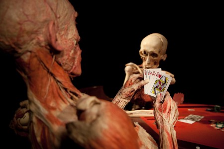 Body Worlds & The Story of the Heart 