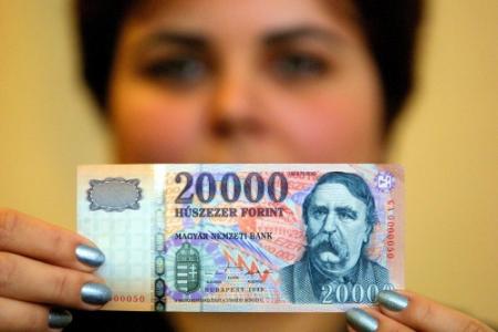 Hongaarse bank verbrandt geld tegen kou