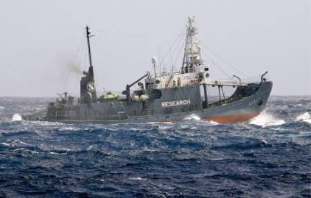 Jachtseizoen Japanse walvisjagers voorbij
