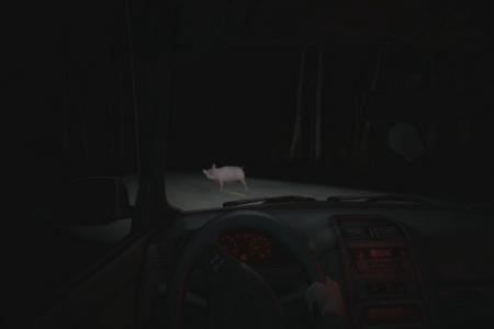 Op een donkere weg moet je uitkijken voor overstekende varkens