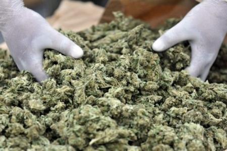 Brits onderzoek: Cannabis helpt niet tegen MS