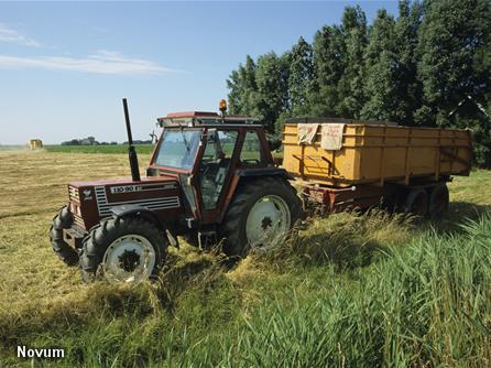 Brabant dwingt boeren tot meer duurzaamheid (Foto: Novum)