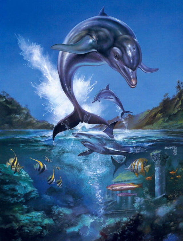 Ecco the Dolphin