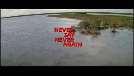 Never Say Never Again 01