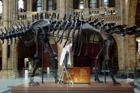 Oudste dinosaurus ooit ontdekt in Londen