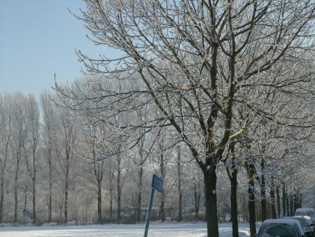 Winterplaatje Haarlem