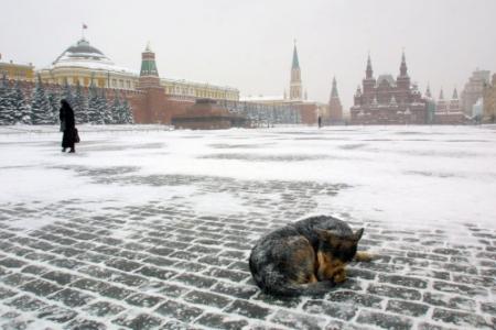 Meer dan 140 doden door kou in Rusland
