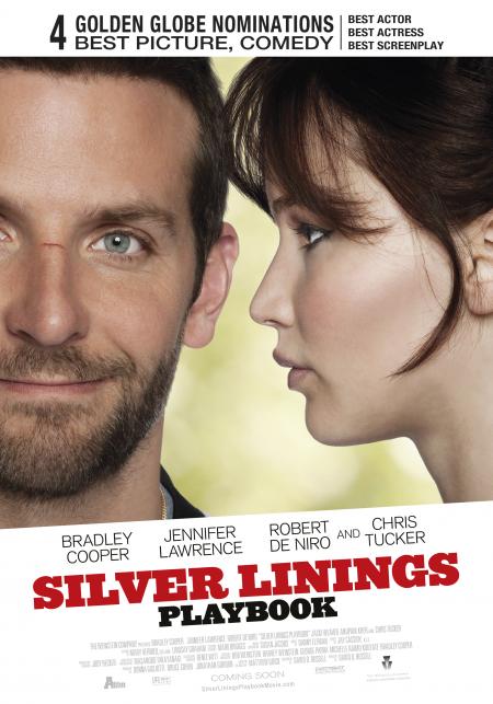 Silver Linings Playbook (28-02-2013)