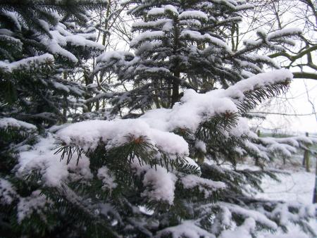 Sneeuw in Goch