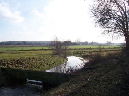 Wandeling nabij Gennip/Groesbeek2