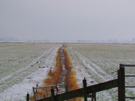 Weiland in de sneeuw