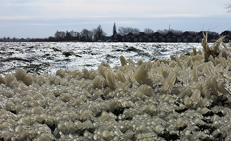 Ijs over de kade bij het Uitgeestermeer, veroorzaakt door de harde wind en lage temperatuur.