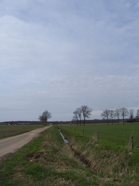 Lente-wandeling