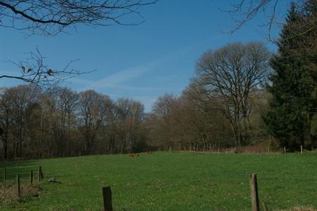 Mookerheide