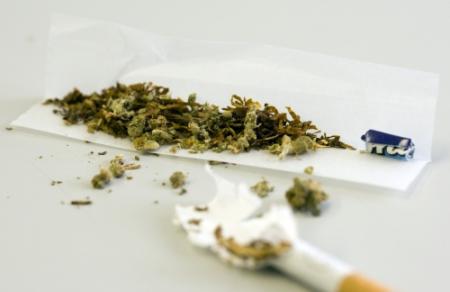 Cannabisgebruik NL is relatief beschaafd