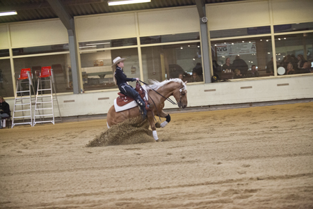 Foto's: Dutch Reining Horse Association