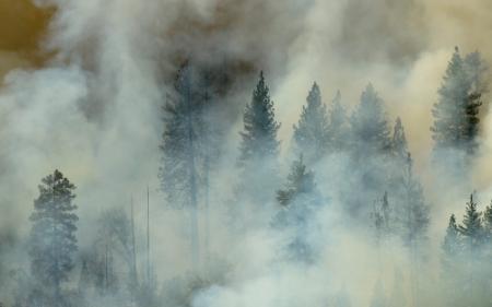 San Franscisco vreest bosbranden